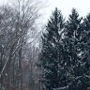 Meet your Posher, Phillip